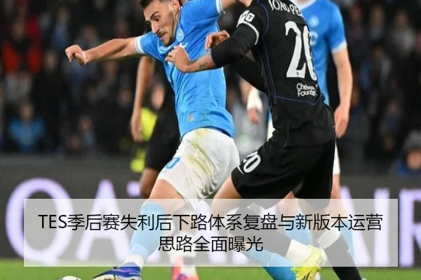 TES季后赛失利后下路体系复盘与新版本运营思路全面曝光